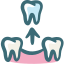 Preventative Dentist